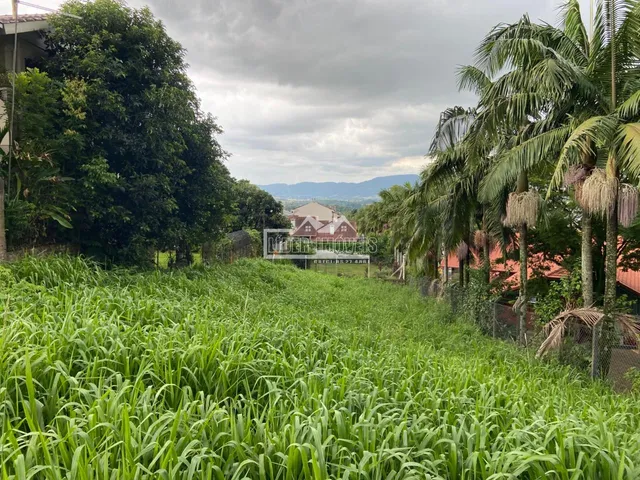 Terreno, foto 2
