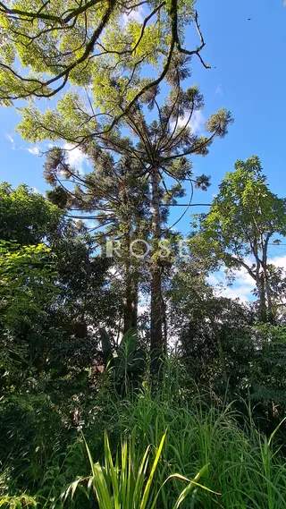 Área rural, foto 4