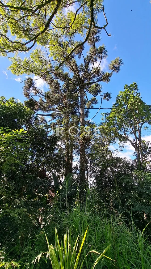 Área rural, foto 4