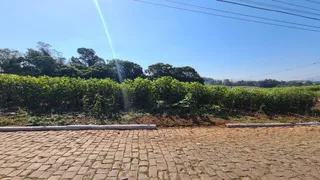 Vista externa mostrando uma área com vegetação densa e pavimento de paralelepípedos.