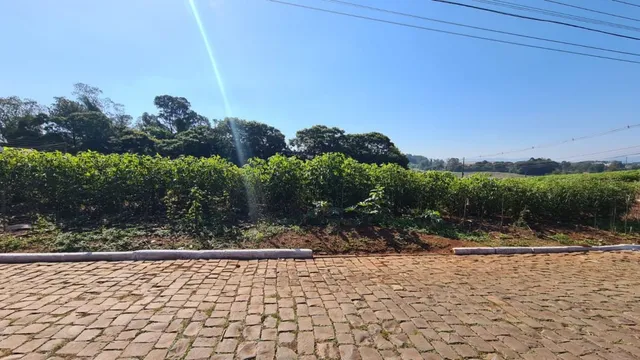 Terreno