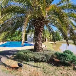 Terreno, foto 9