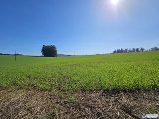 Área rural, foto 4