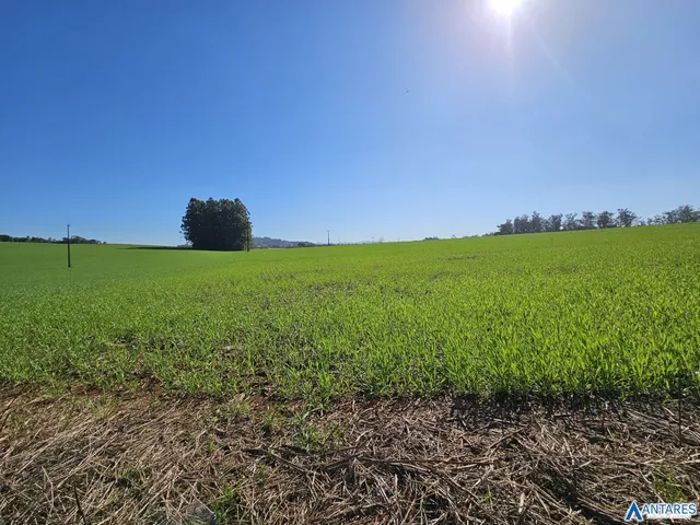 Área rural, foto 4