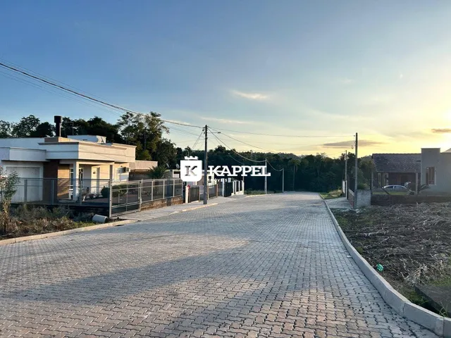 Vista da entrada de uma propriedade com um caminho pavimentado.
