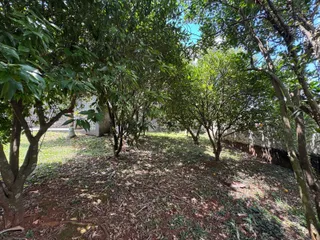 Casa com 3 dormitórios, foto 28