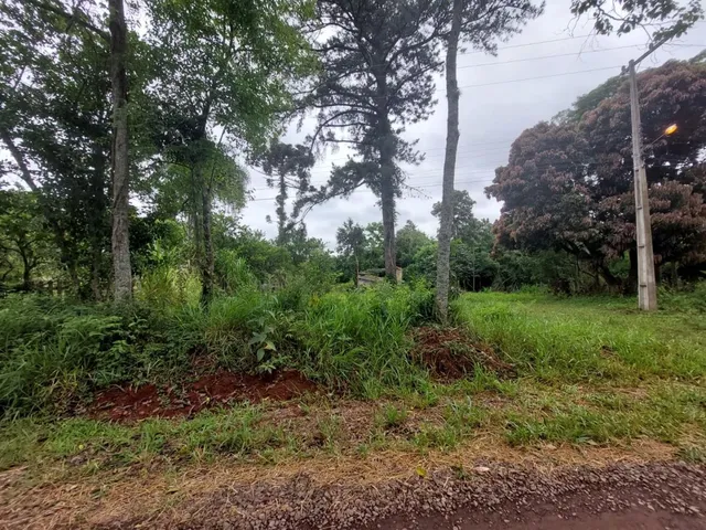 Área rural, foto 5