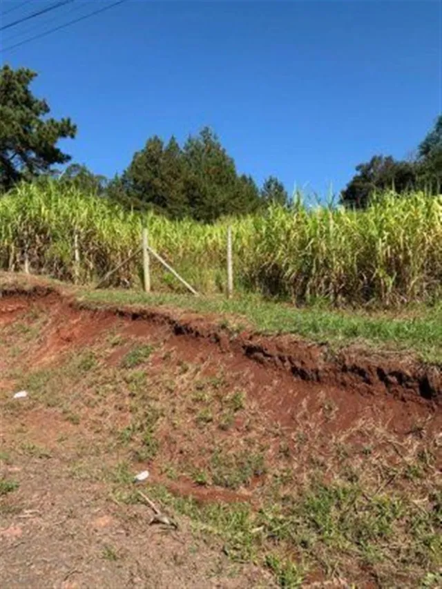 Terreno, foto 5