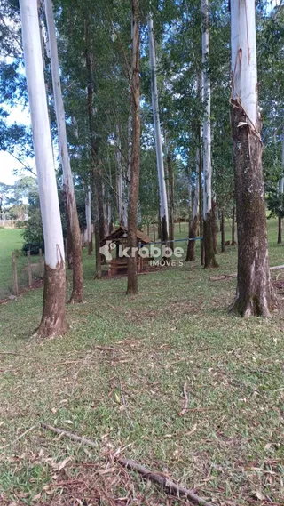 Área rural, foto 2