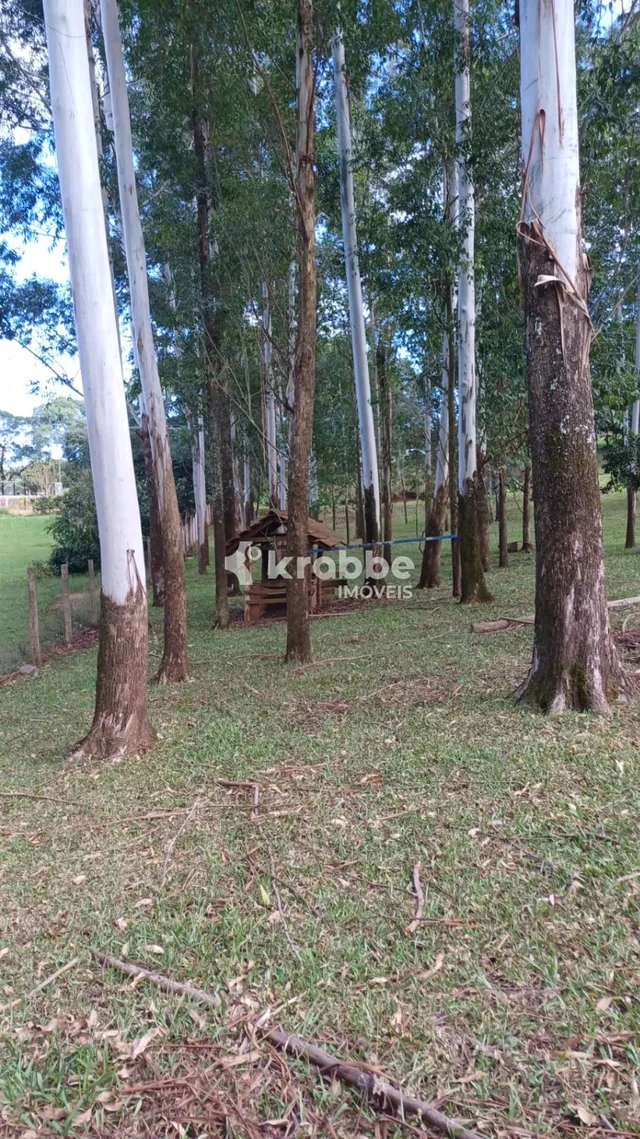 Área rural, foto 2