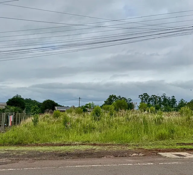 Terreno, foto 2