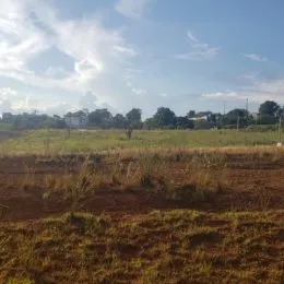 Vista de um campo aberto com vegetação seca sob um céu azul.