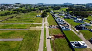 Terreno, foto 4