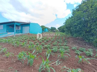 Terreno, foto 2