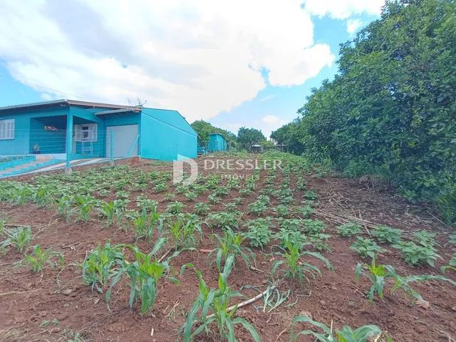 Terreno, foto 2