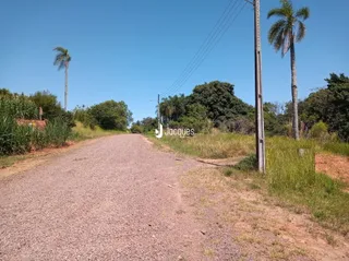 Uma estrada de terra passa por vegetação alta sob um céu azul.