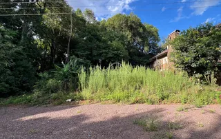 Terreno, foto 1