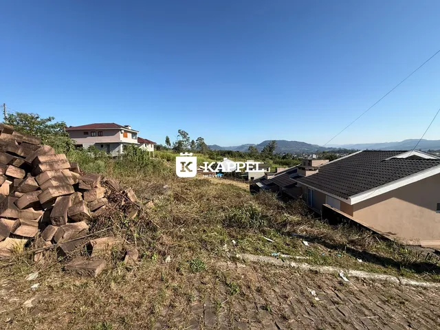 Vista panorâmica de uma área externa com vegetação seca e pilhas de lenha.