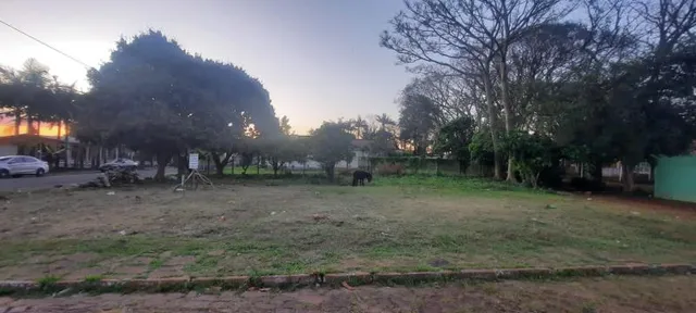 Terreno, foto 2
