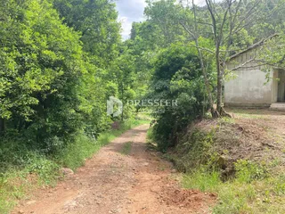 Área rural com 2 dormitórios, foto 8