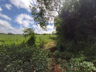 Terreno, foto 6