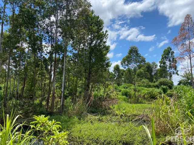 Área rural, foto 3