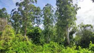 Área rural, foto 7