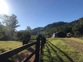 Área rural com 2 dormitórios, foto 8