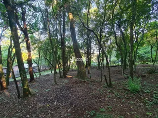 Área rural, foto 53