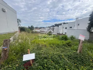 Terreno, foto 2