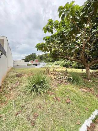 Vista externa de um terreno com grama e vegetação.