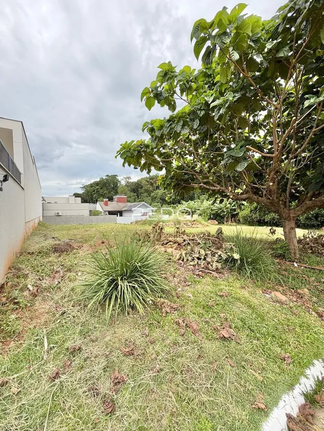 Vista externa de um terreno com grama e vegetação.