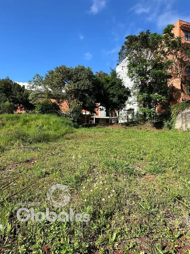 Vista externa da propriedade com gramado e vegetação densa.