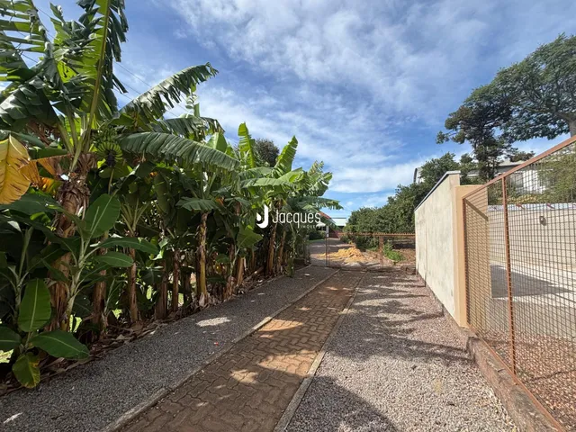 Vista da propriedade com vegetação e cerca lateral.