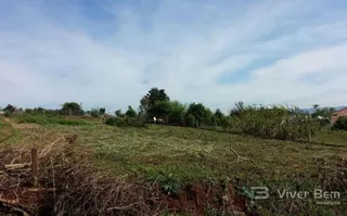 Terreno, foto 4