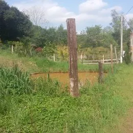 Área rural, foto 3