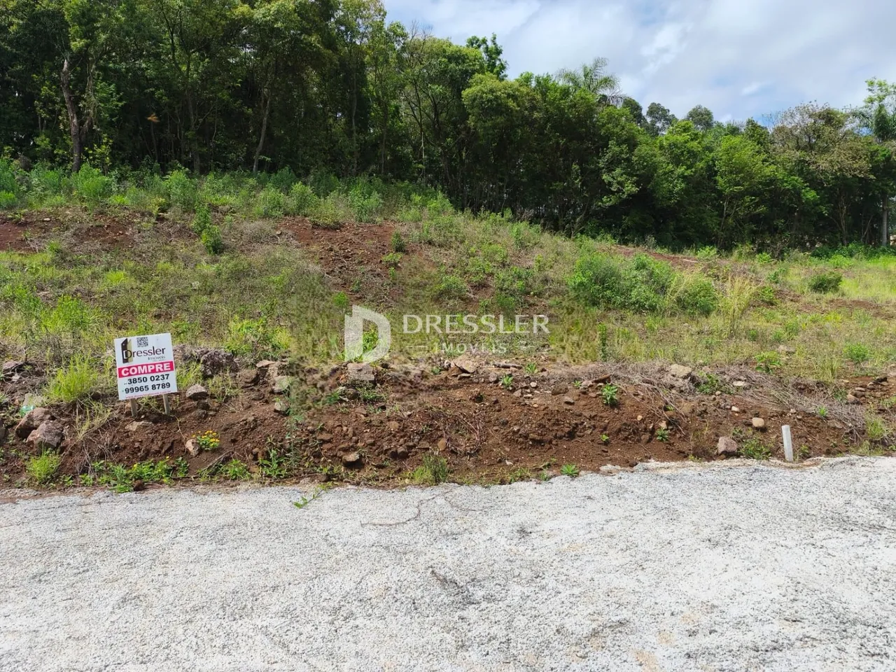 Terreno, foto 1
