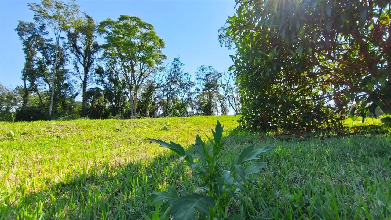 Terreno, foto 1