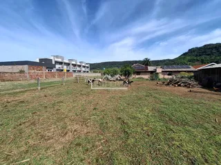 Terreno, foto 4