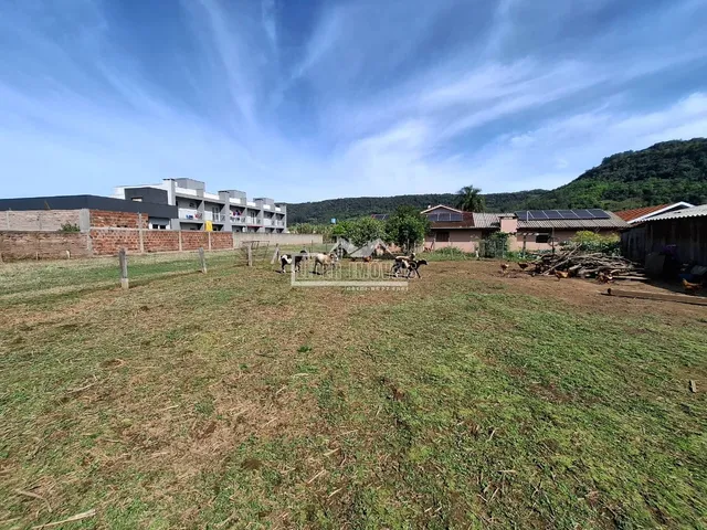 Terreno, foto 4