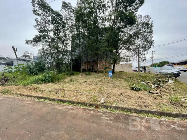 Terreno, foto 3