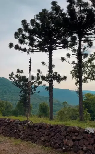 Área rural, foto 7