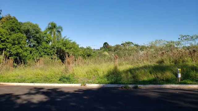 Vista externa mostrando vegetação densa e uma estrada no ambiente.
