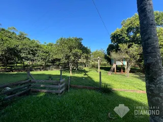 Área rural com 3 dormitórios, foto 3