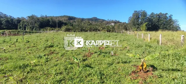 Vista de um campo aberto com vegetação e cercas em uma propriedade em Lajeado.