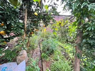 Casa com 2 dormitórios, foto 11