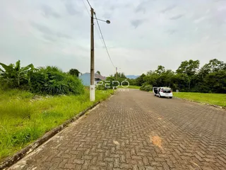 Vista da rua pavimentada em Lajeado, Brasil, com vegetação ao lado.