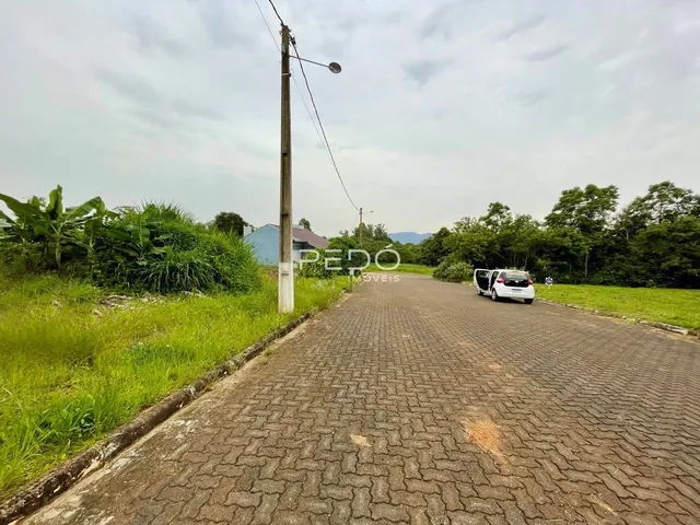 Vista da rua pavimentada em Lajeado, Brasil, com vegetação ao lado.