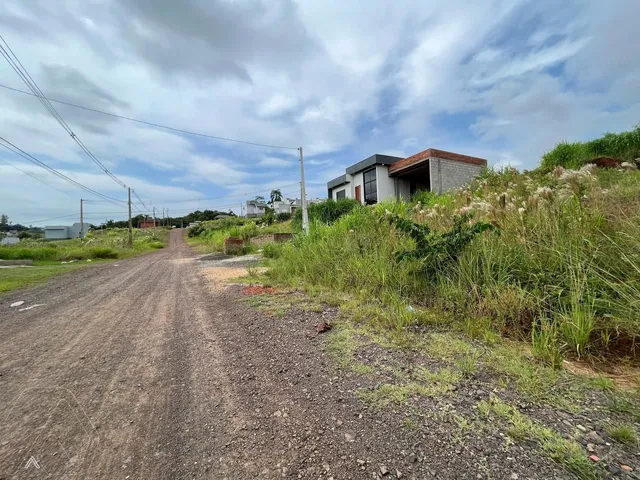 Terreno, foto 3