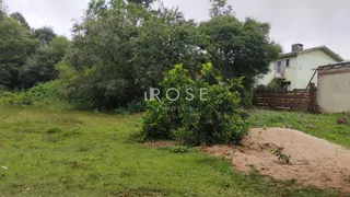 Terreno, foto 1